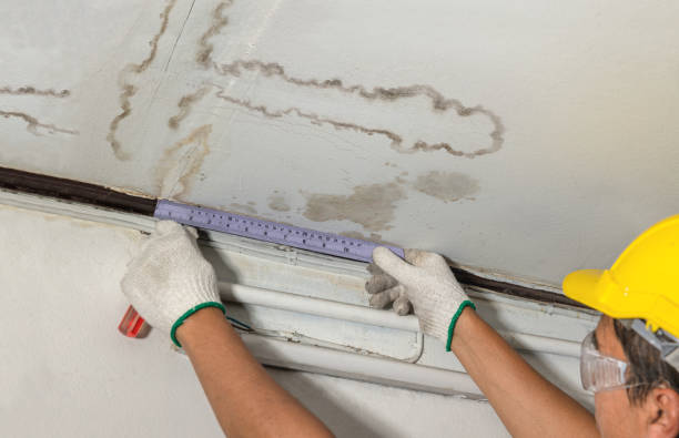 Affordable Water Damage Repair solutions in Alloy, WV